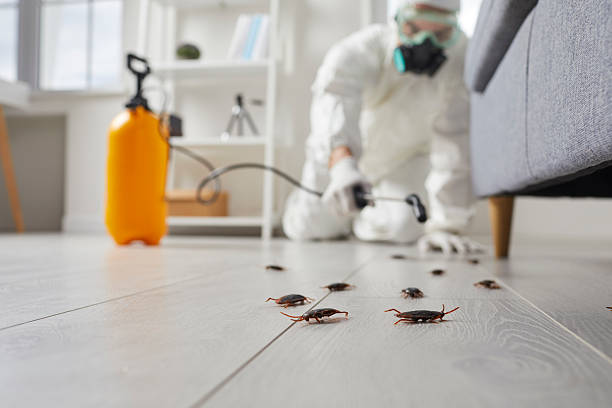 Commercial Kitchen Cockroach Control in Gang Mills